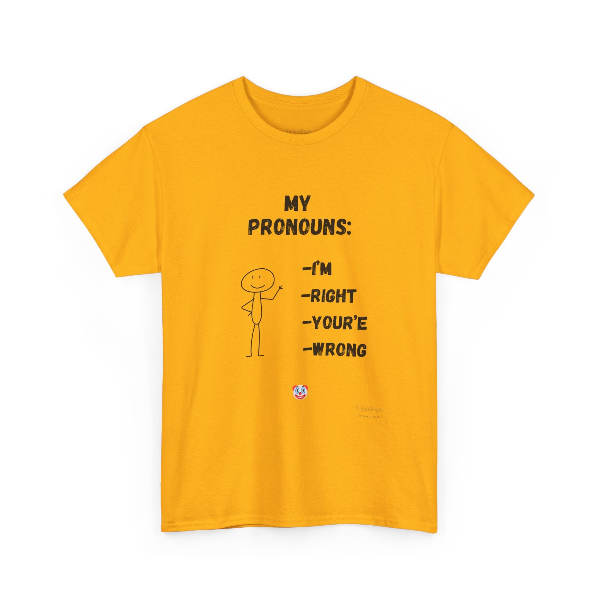 My Pronouns I'm Right You're Wrong T-Shirt –Funny Satirical T-Shirt