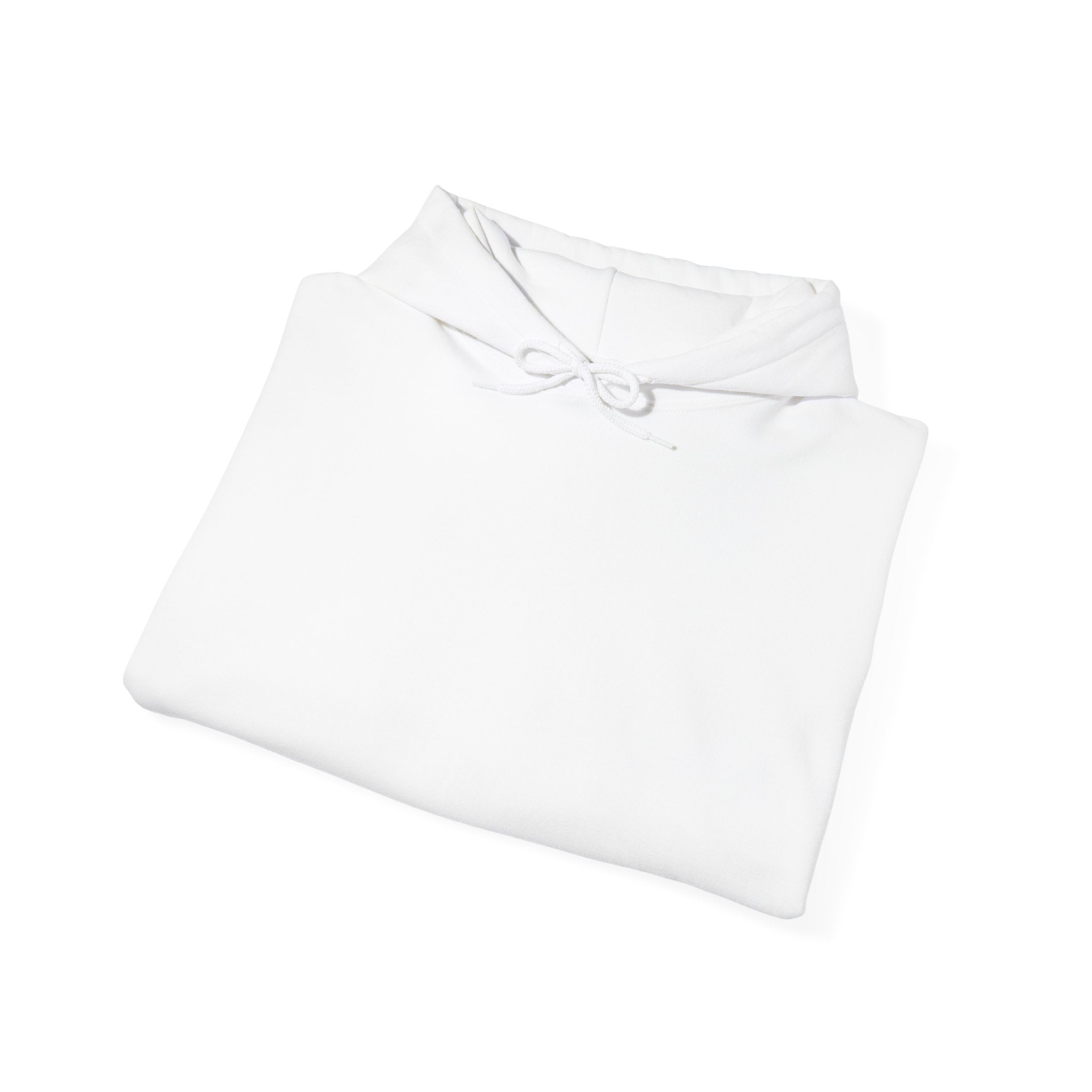 Clown Circus Poster Hoodie — 'Albozo' Retro Carnival Graphic Sweatshirt