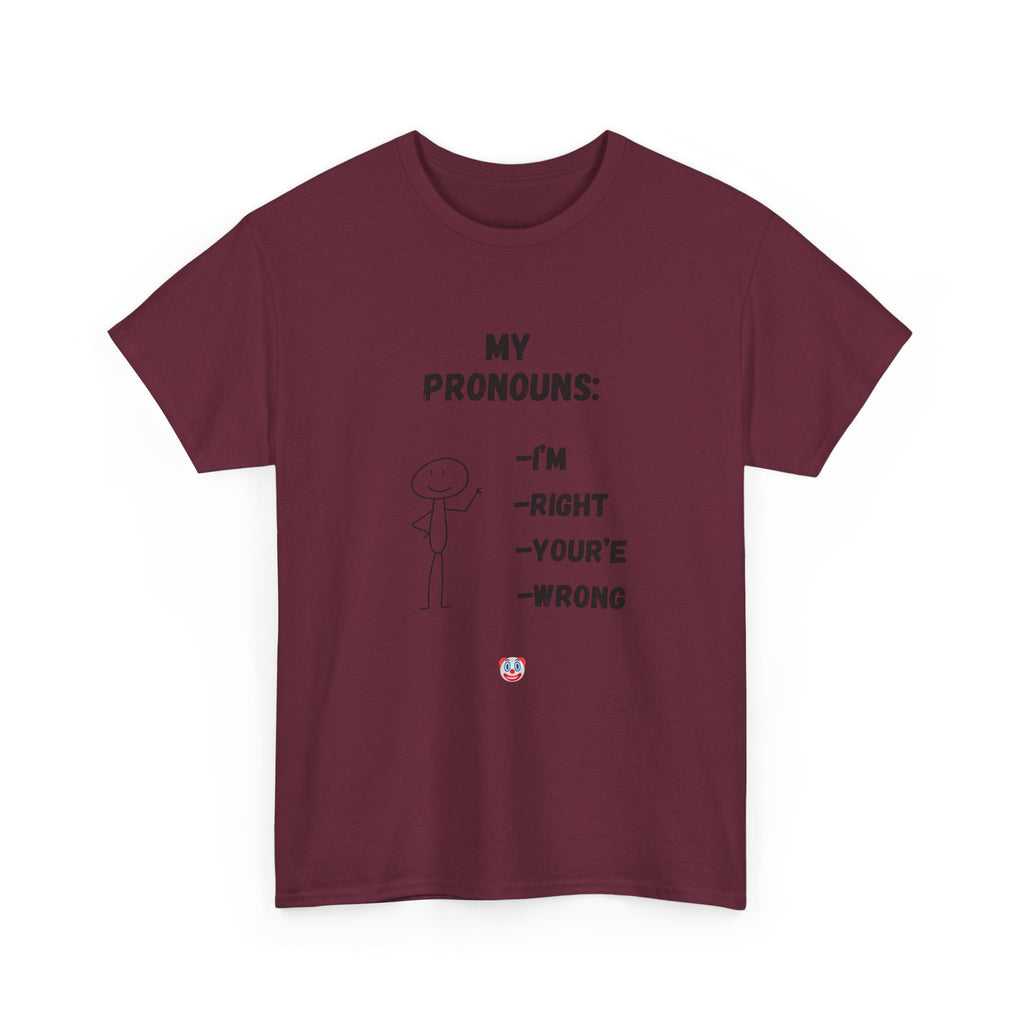 My Pronouns I'm Right You're Wrong T-Shirt –Funny Satirical T-Shirt