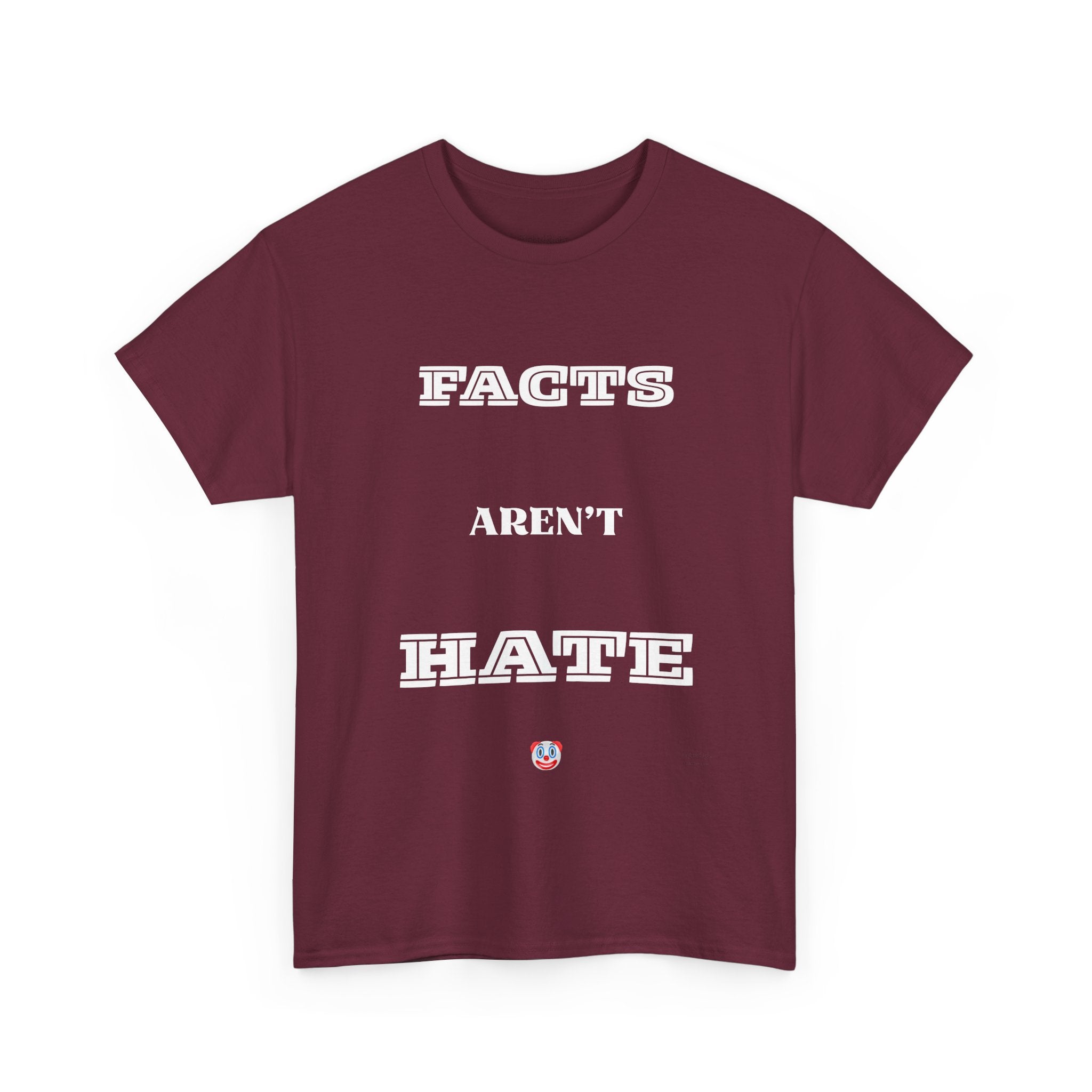 Facts Aren’t Hate T-Shirt – Common Sense Satire & Free Speech Tee
